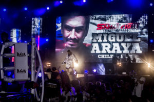 Miguel Araya Samui fight